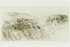 Ahuza