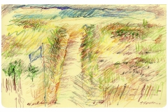 EPSON MFP image